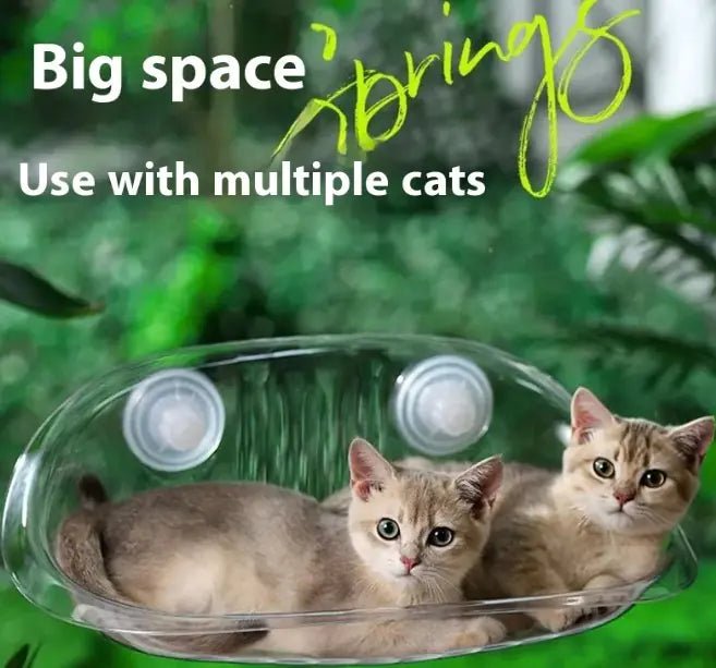 Glass Cat Sleeping Cat Hammock - Musttbuy