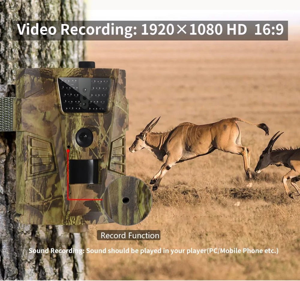 Infrared Night Vision Hunting Cameras Outdoor - Musttbuy