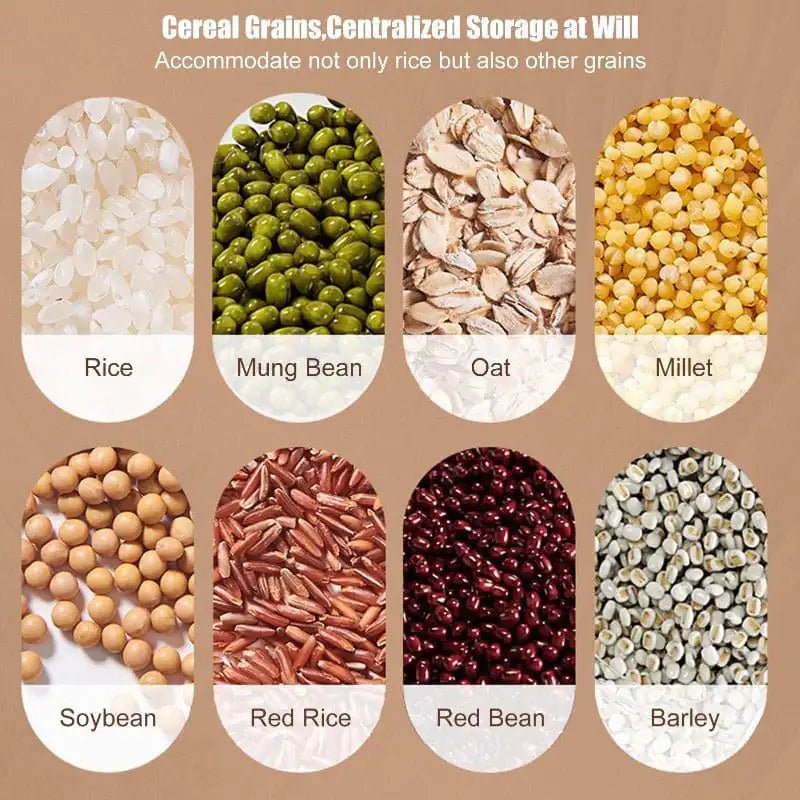 Large Kitchen Storage Container - Musttbuy