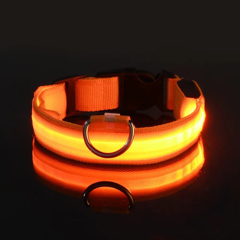 LED Glowing Adjustable Pet Collar - Musttbuy