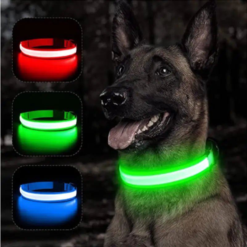 LED Glowing Adjustable Pet Collar - Musttbuy