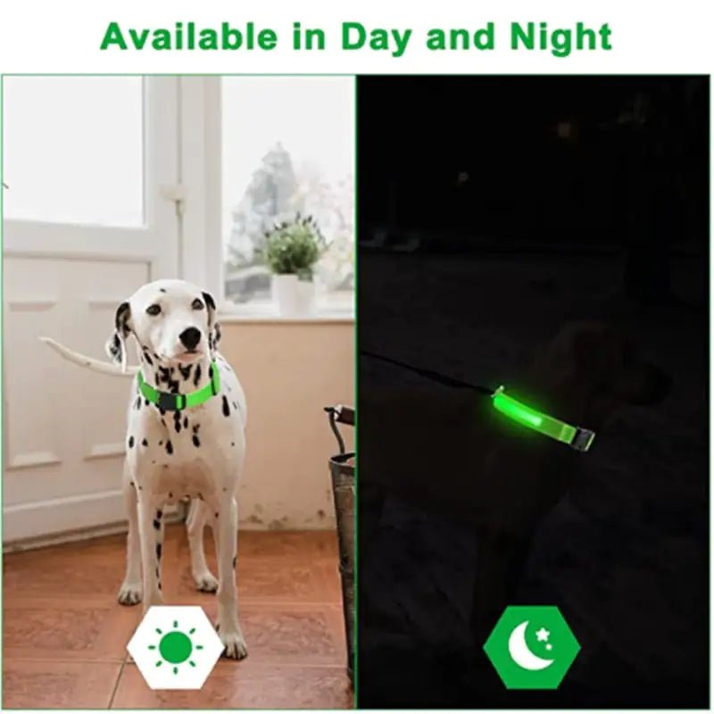 LED Glowing Adjustable Pet Collar - Musttbuy