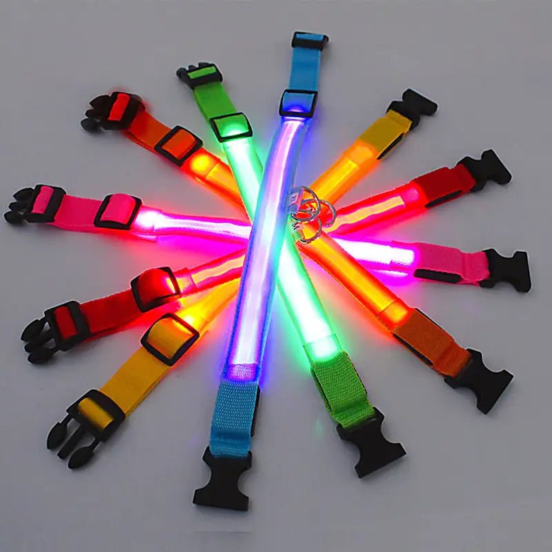 LED Glowing Adjustable Pet Collar - Musttbuy