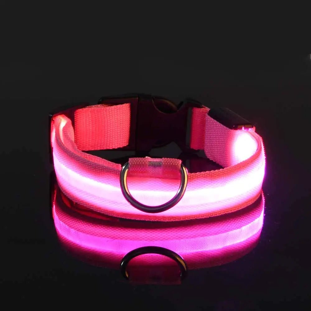 LED Glowing Adjustable Pet Collar - Musttbuy