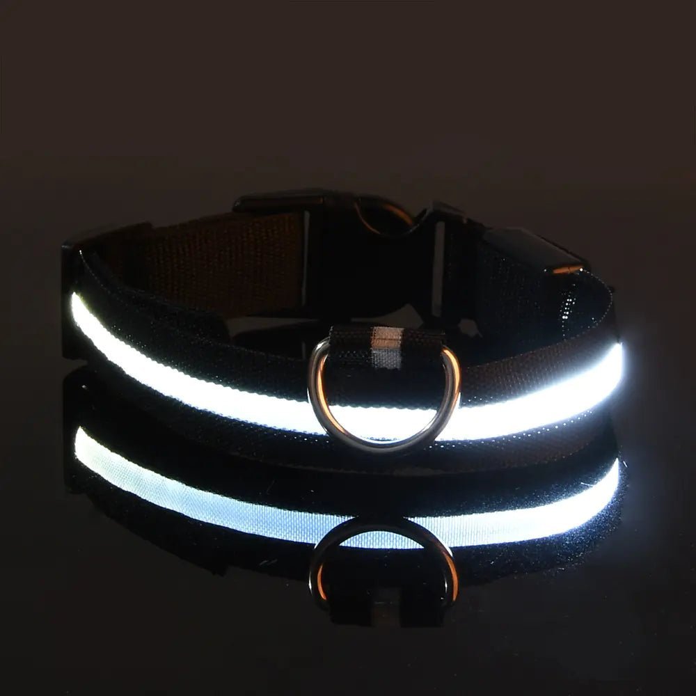 LED Glowing Adjustable Pet Collar - Musttbuy