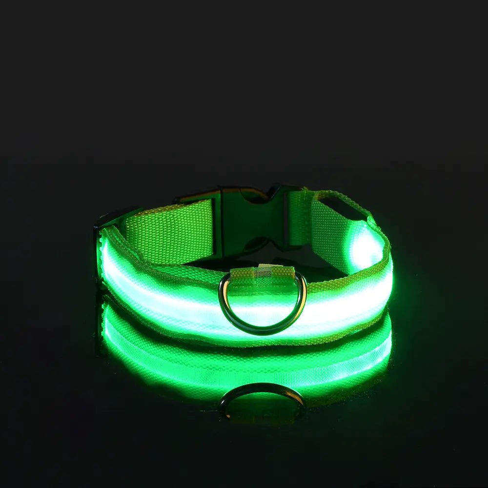 LED Glowing Adjustable Pet Collar - Musttbuy