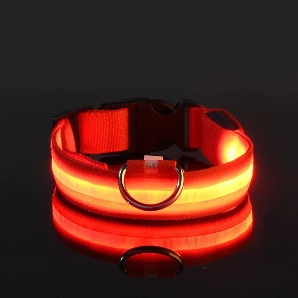 LED Glowing Adjustable Pet Collar - Musttbuy