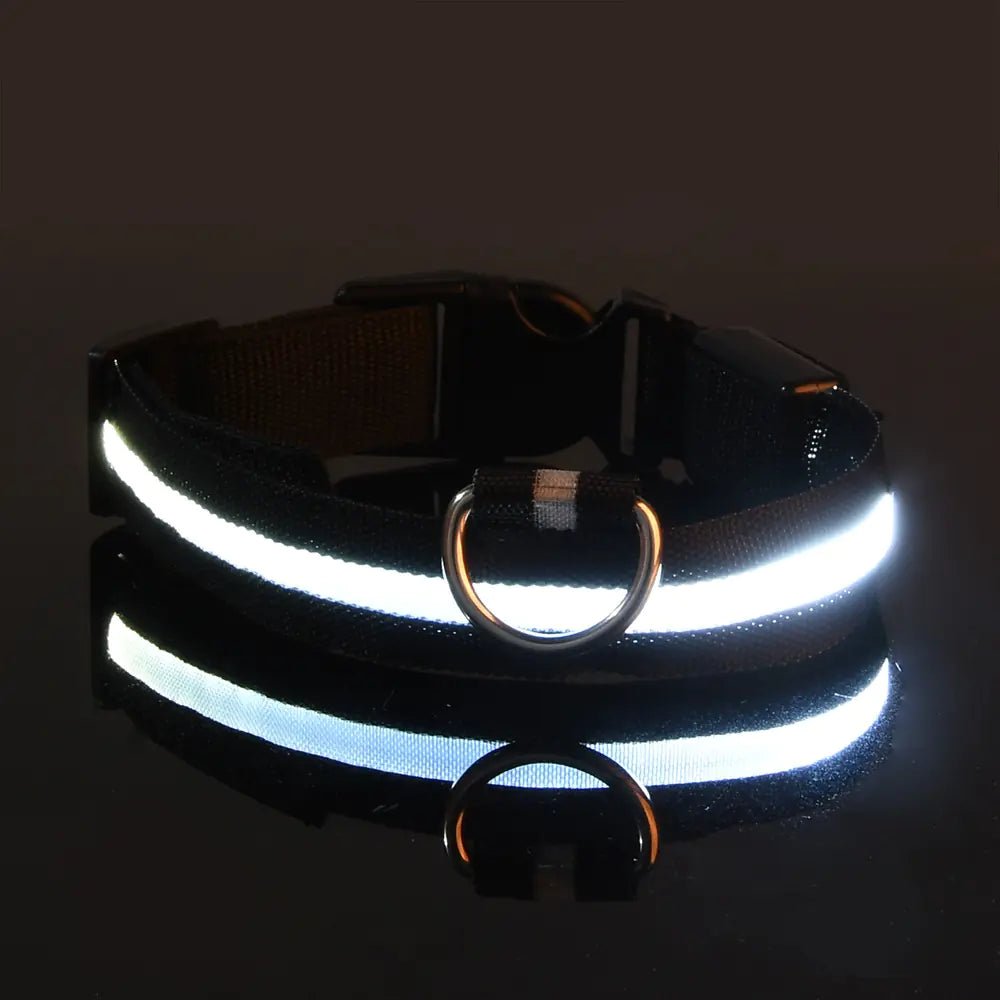 LED Glowing Adjustable Pet Collar - Musttbuy