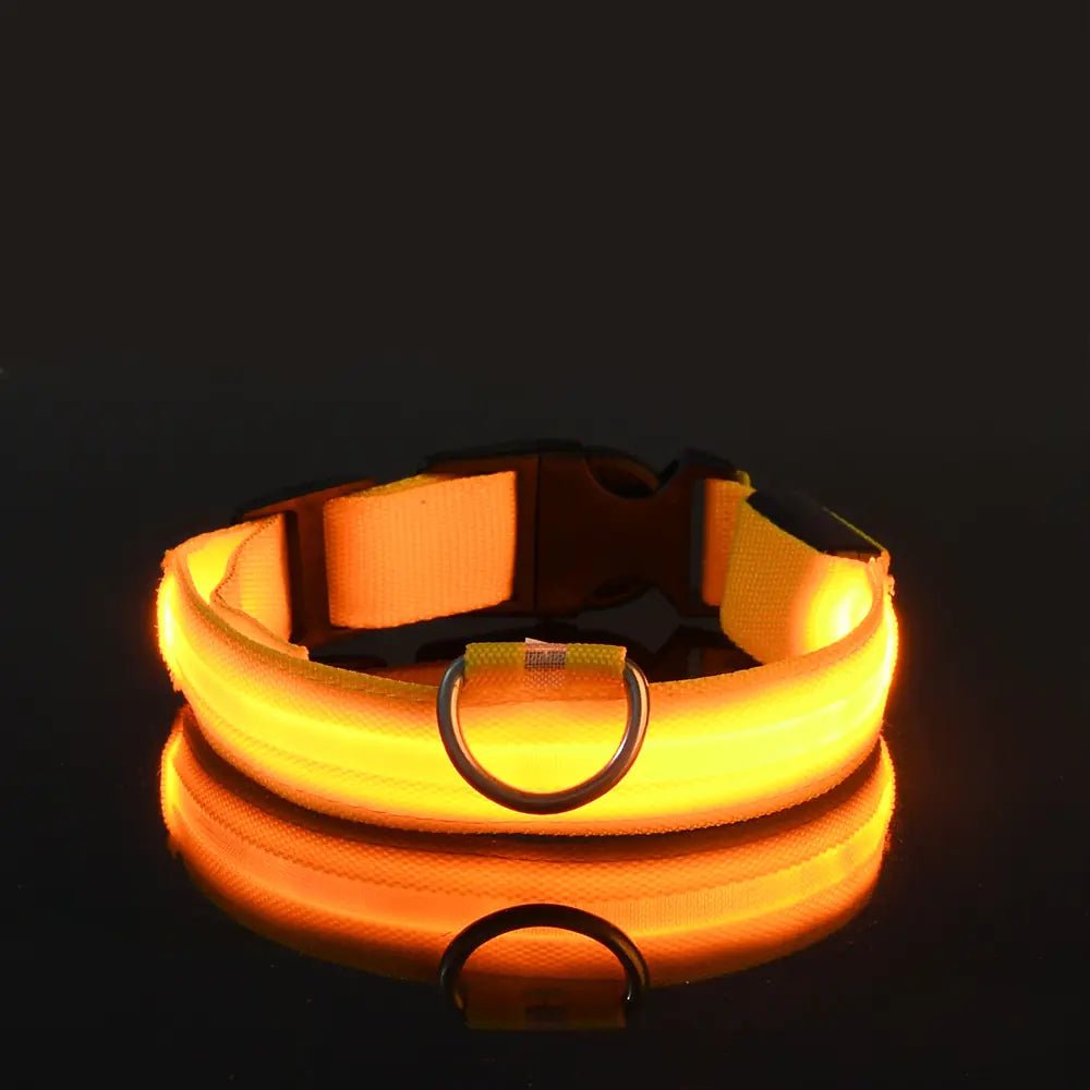 LED Glowing Adjustable Pet Collar - Musttbuy