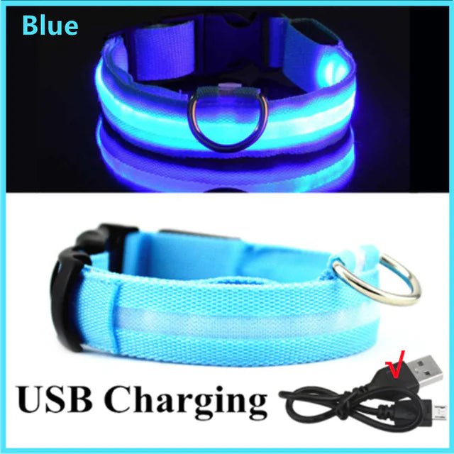 LED Glowing Adjustable Pet Collar - Musttbuy