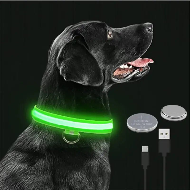 LED Glowing Adjustable Pet Collar - Musttbuy