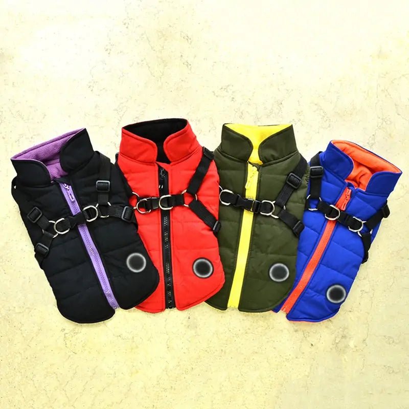 Waterproof Pet Coat with Harness - Musttbuy