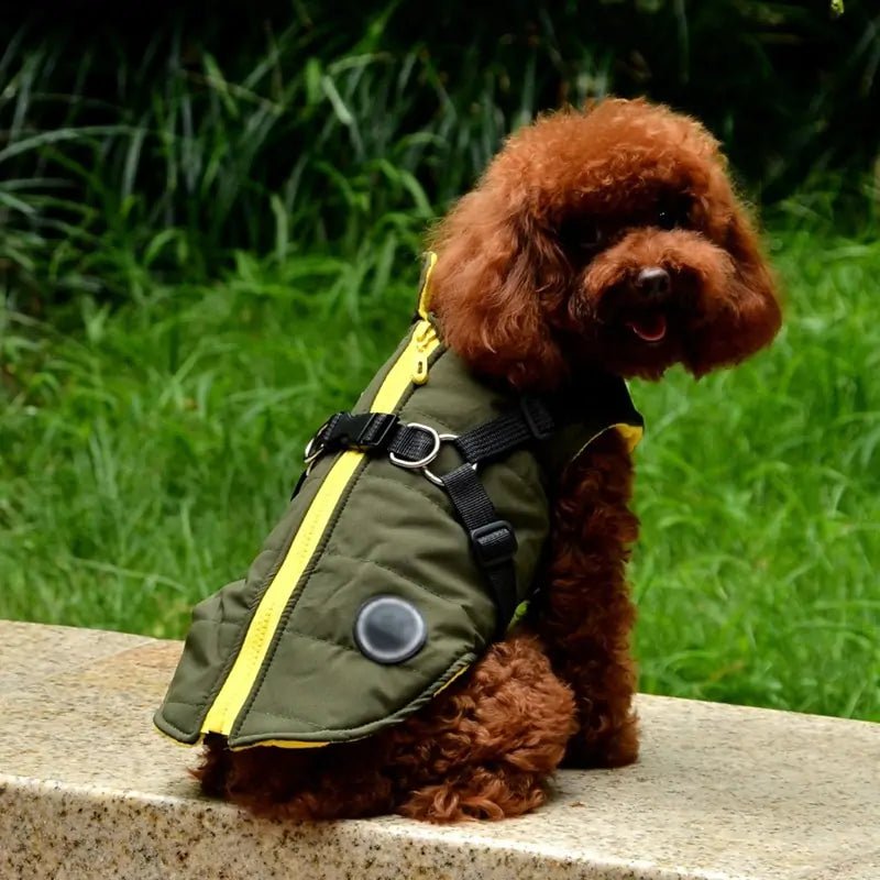 Waterproof Pet Coat with Harness - Musttbuy