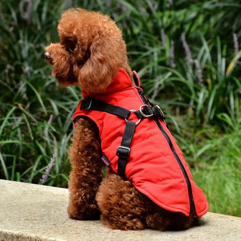 Waterproof Pet Coat with Harness - Musttbuy
