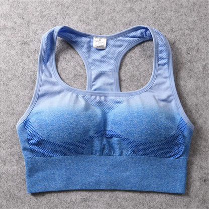 Ombre Sports Bra Top