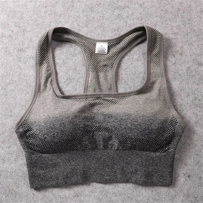 Ombre Sports Bra Top