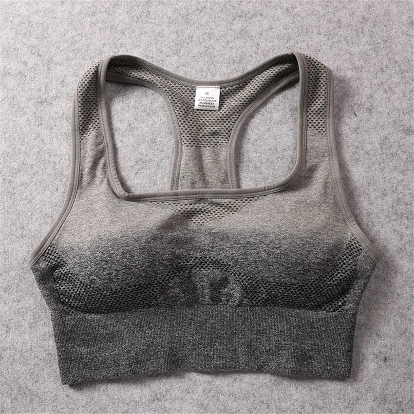 Ombre Sports Bra Top