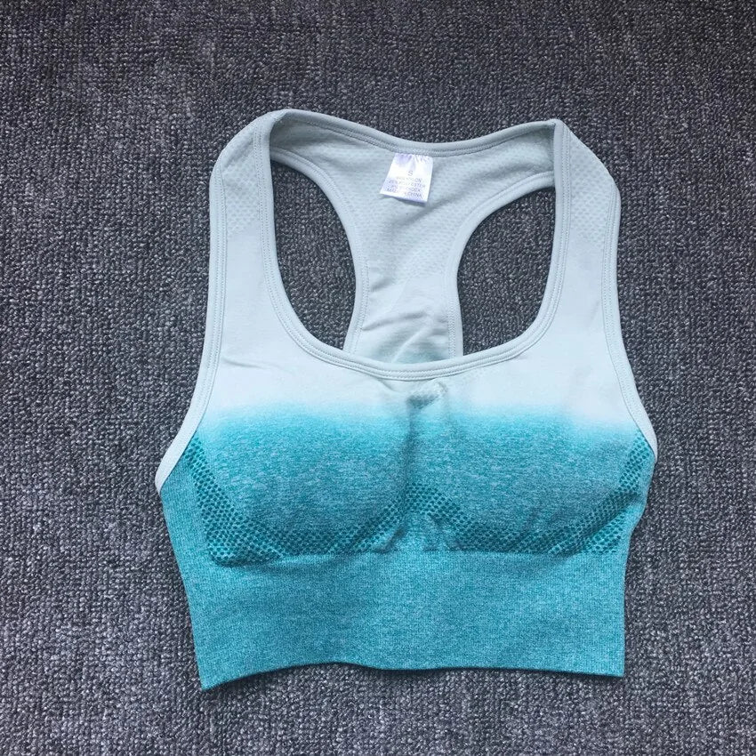 Ombre Sports Bra Top