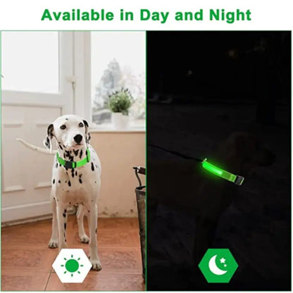 LED Glowing Adjustable Pet Collar - Musttbuy
