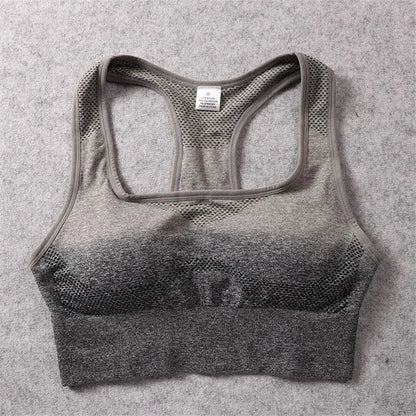 Ombre Sports Bra Top - Musttbuy