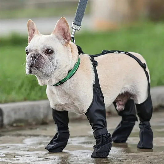 Waterproof Adjustable Dog Boots - Musttbuy
