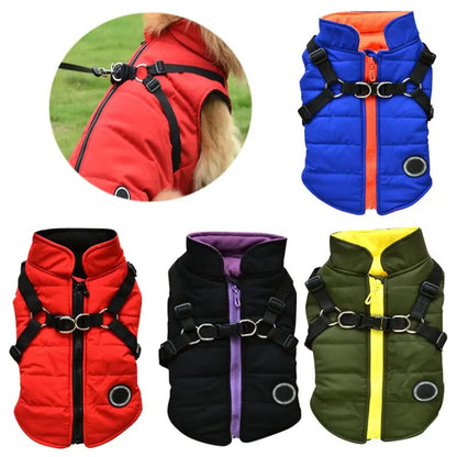 Waterproof Pet Coat with Harness - Musttbuy