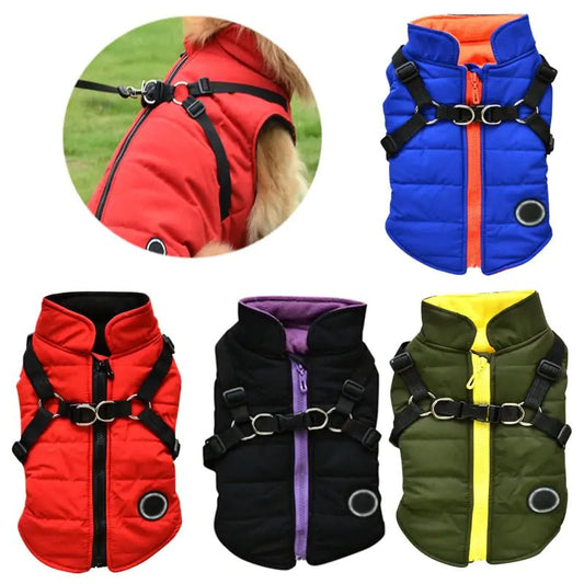 Waterproof Pet Coat with Harness - Musttbuy